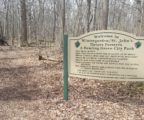 Welcome to Wintergarden Park sign