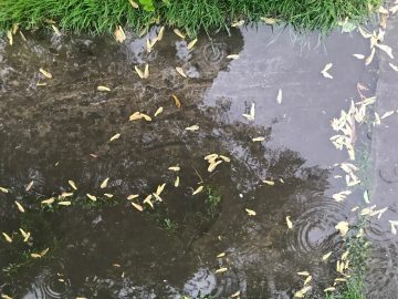 rain storm