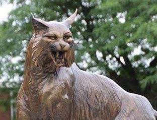 Bobcat statue