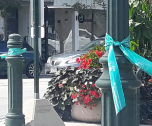 Teal ribbons tied to lamp posts near big pot of red flowers