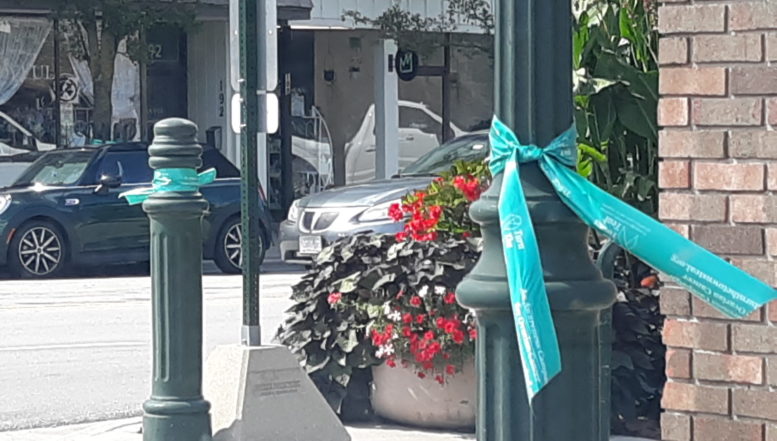 Teal ribbons tied to lamp posts near big pot of red flowers