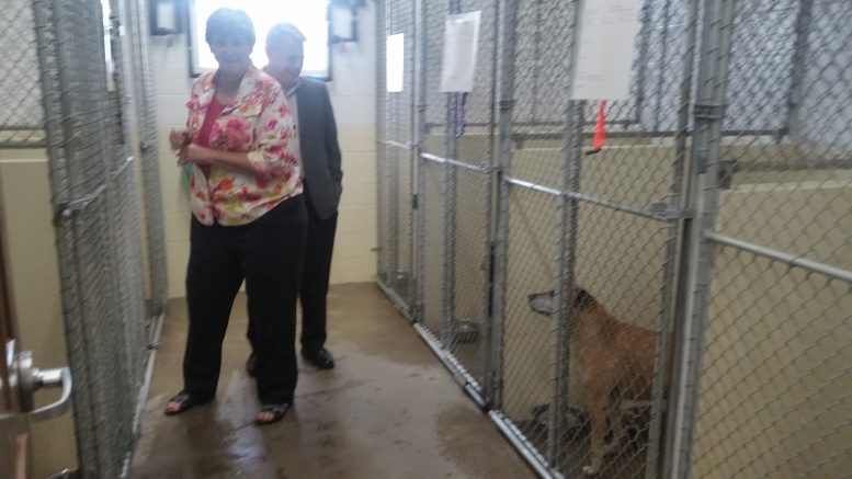 Wood County Dog Shelter adds creature comforts – BG Independent News