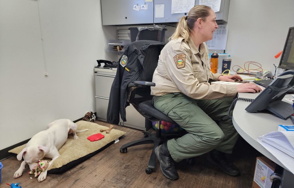 drool-school-dog-warden-staff-teaches-children-to-be-safe-around-dogs