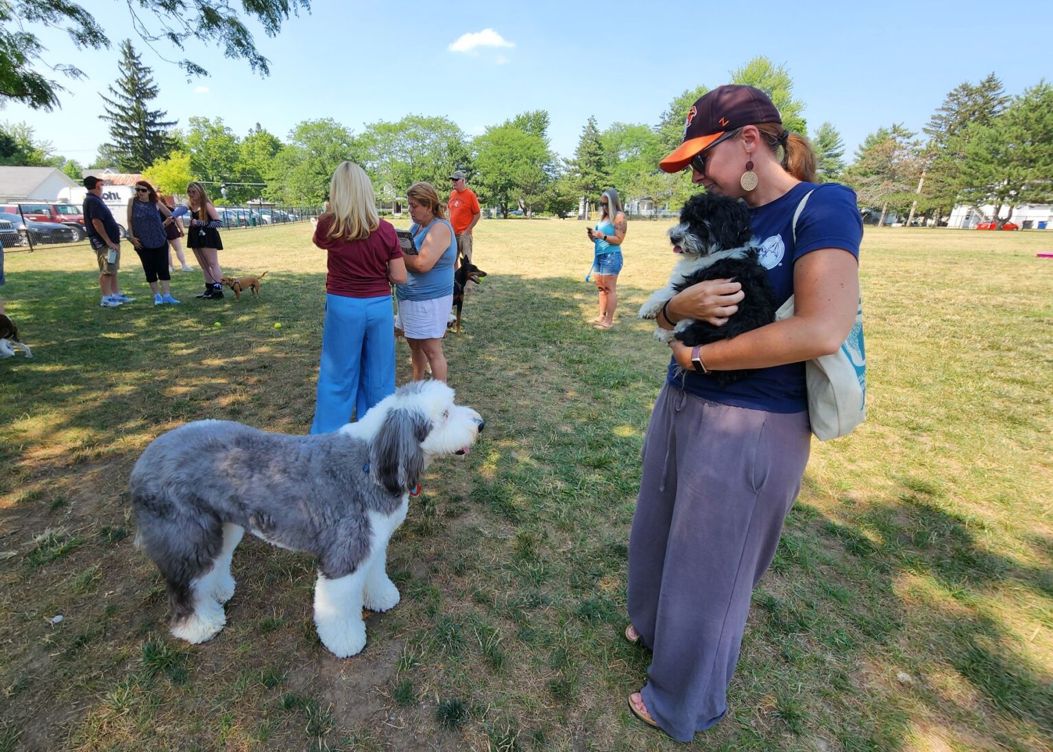 Fun Ridge Hill ‘Let’s unleash the fun’ – Ridge Dog Park officially opens to pups and ...
