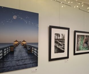 Three photos, an image of a fishing pier, a person walking in the woods, and a bison.