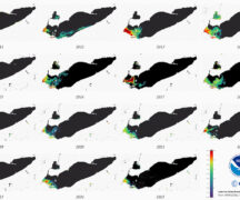 Lake Erie Harmful Algal Bloom peaks from 2011-2025