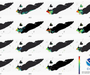 Lake Erie Harmful Algal Bloom peaks from 2011-2025