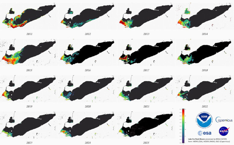 Lake Erie Harmful Algal Bloom peaks from 2011-2025